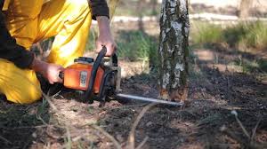 Best Lot and Land Clearing  in Laurel, VA