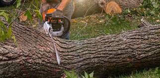 Best Lawn Mowing  in Laurel, VA
