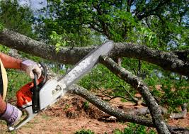 Best Arborist Consultation Services  in Laurel, VA